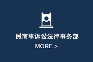 民商事诉讼法律事务部